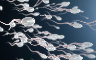 Nghiên cứu mới: lượng tinh trùng của nam giới ngày càng giảm mạnh