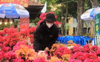Chợ hoa Sài Gòn ngày sát Tết, người bán ‘cược hết vào ván này, mong vực dậy’
