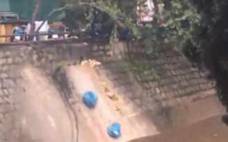 Nóng mạng xã hội: Quán ăn Đà Lạt vô tư vứt từng bịch rác xuống suối Cam Ly