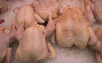 Cảnh báo trào lưu nấu thịt gà với thuốc cảm có thể gây hại phổi