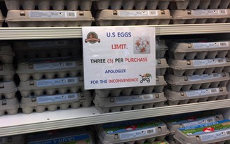 Lính Mỹ ở Hàn Quốc bị hạn chế mua trứng vì cúm gà