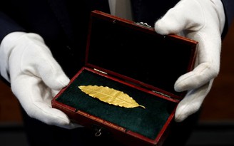 Chiếc lá vàng từ vương miện Hoàng đế Napoleon sẽ lên sàn đấu giá