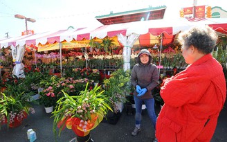 Tưng bừng chợ hoa Tết Little Saigon