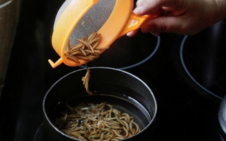 'Ngon như khoai tây chiên' - lời người ăn côn trùng suốt 3 năm 'Ngon như khoai tây chiên' - lời người ăn côn trùng suốt 3 năm