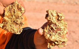 Phát tài nhờ đào được 2 khối vàng ở Úc