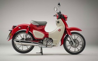 Honda Super Cub C125 ABS 2020 trình làng, giá 85 triệu đồng