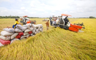 Đồng bằng sông Cửu Long nên sản xuất ít gạo hơn