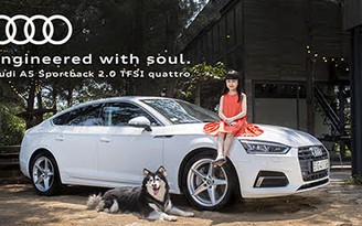 Audi Việt Nam triệu hồi Audi A6 vì lỗi túi khí