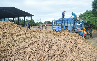 Trung Quốc 'soi' nông sản Việt