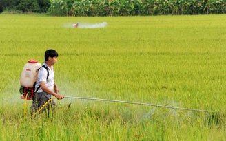 Phối hợp giảm 1 triệu lít hóa chất xuống đồng ruộng Việt Nam