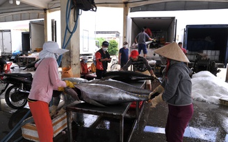 Cá ngừ Việt Nam đối mặt với lạm phát của Mỹ