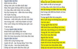 Lại phát hiện thơ của tác giả được tặng thưởng Hội Nhà văn TP.HCM giống thơ... người khác