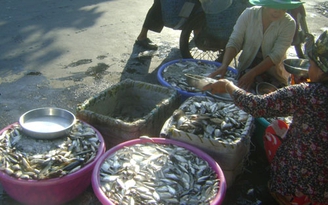 Khan hiếm cá linh