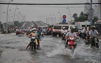 Nhân rộng mô hình ngăn triều cường, chống ngập