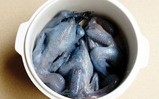 Ăn uống chữa bệnh thường gặp