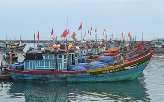 Nhật hỗ trợ VN 10 triệu USD xây dựng trung tâm nghề cá