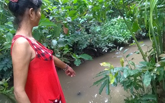 Nàng dâu bất ngờ ra tự thú giết chết cháu 4 tuổi vì giận... mẹ chồng