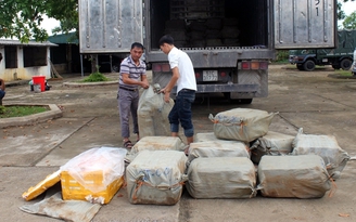 Vận chuyển 6,1 tấn thực phẩm thối vào TP.HCM tiêu thụ