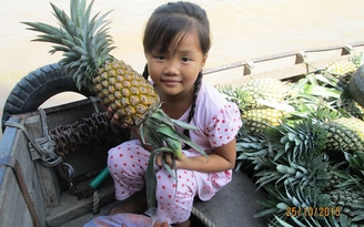 Triển lãm ảnh của thương hồ chợ nổi Cái Răng