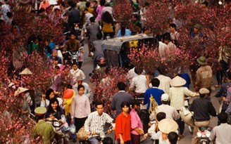 Mẹo trang hoàng nhà cửa ngày tết siêu tiết kiệm, siêu đẹp