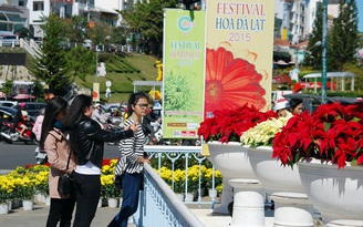 Rực rỡ đường hoa đón chào Festival hoa Đà Lạt