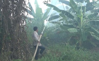 Khống chế đám cháy do sét đánh ở Vườn quốc gia U Minh Hạ