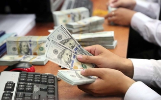 Giá USD 'nóng hầm hập'