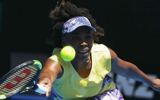 Kiện sau khi bị sa thải vì ví lối chơi của Venus Williams với ‘khỉ đột’
