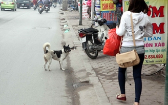 Hãy trả lại vỉa hè cho người đi bộ
