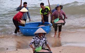 Ngư dân trúng đậm cá cơm nồm, ruốc