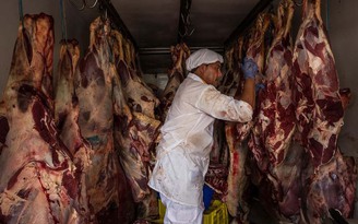 Nhiều nước ngưng nhập khẩu thịt từ Brazil vì scandal thịt bẩn