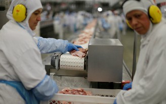 Nhiều nước cấm nhập thịt của Brazil