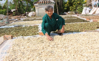 Người tốt việc tốt: Tấm lòng mẹ Quen