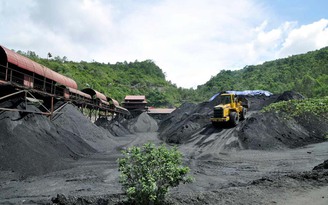 Nên tăng thuế để hạn chế khai thác tài nguyên