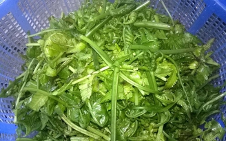 Rau dớn xào tỏi