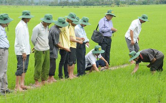 Thời tiết tuần tới: Miền Bắc chuyển mùa, miền Trung vào mùa mưa