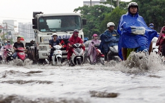 Các bác tài ô tô xin đừng vô cảm