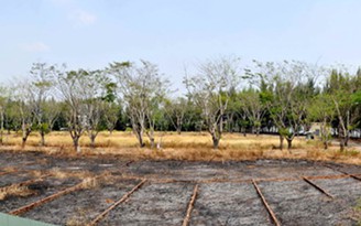 Thận trọng khi mua nhà 'ba chung' lập vi bằng