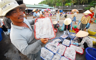 Nhiều ngư dân chưa hiểu rõ tầm quan trọng của IUU