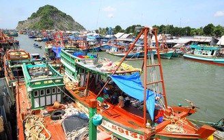 Để 'gỡ' thẻ vàng của EU, Việt Nam công bố tàu cá vi phạm khai thác hải sản mỗi tháng