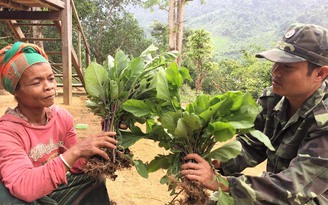 Lên Eo Bù - Chút Mút ăn cải cay Vân Kiều