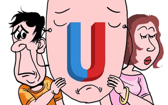 Vườn hồng