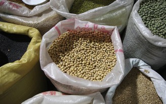 Sợ Tổng thống Trump áp thuế, Trung Quốc ngỏ lời mua 70 tỉ USD hàng Mỹ