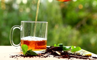 Trà xanh và trà đen giúp ngừa gan nhiễm mỡ
