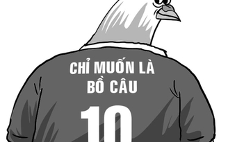 Vườn hồng