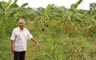 Công viên không khả thi, chuyển sang đất ở