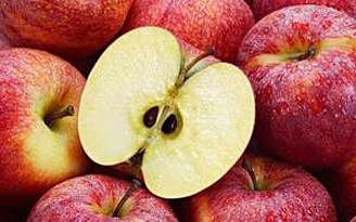 Ăn táo, lỡ ăn luôn hạt táo, có hại gì không?