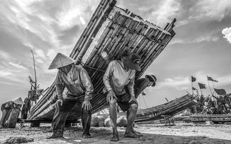 Triển lãm Biển trong chúng ta