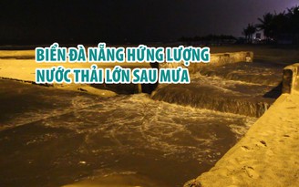 Đà Nẵng: Dừng hoạt động nhà hàng, khách sạn nếu xử lý nước thải không đảm bảo