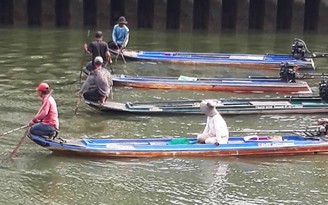 Tái diễn nạn tận diệt cá trên kênh Nhiêu Lộc - Thị Nghè